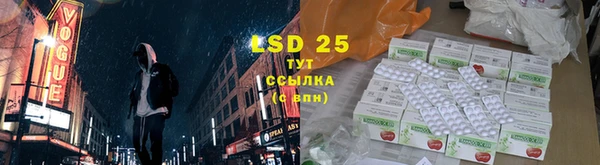 PSILOCYBIN Бугульма