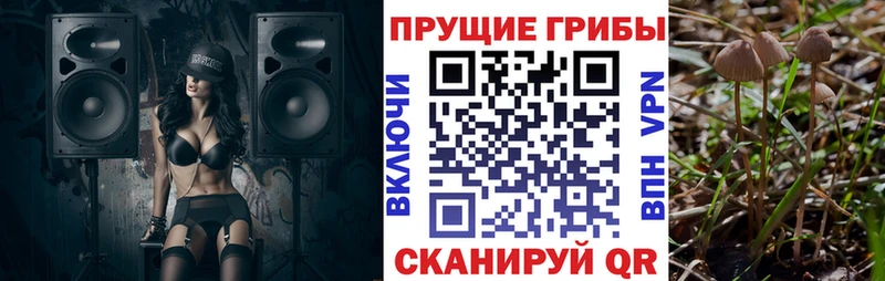 Псилоцибиновые грибы GOLDEN TEACHER  Купить закладки  Баймак 